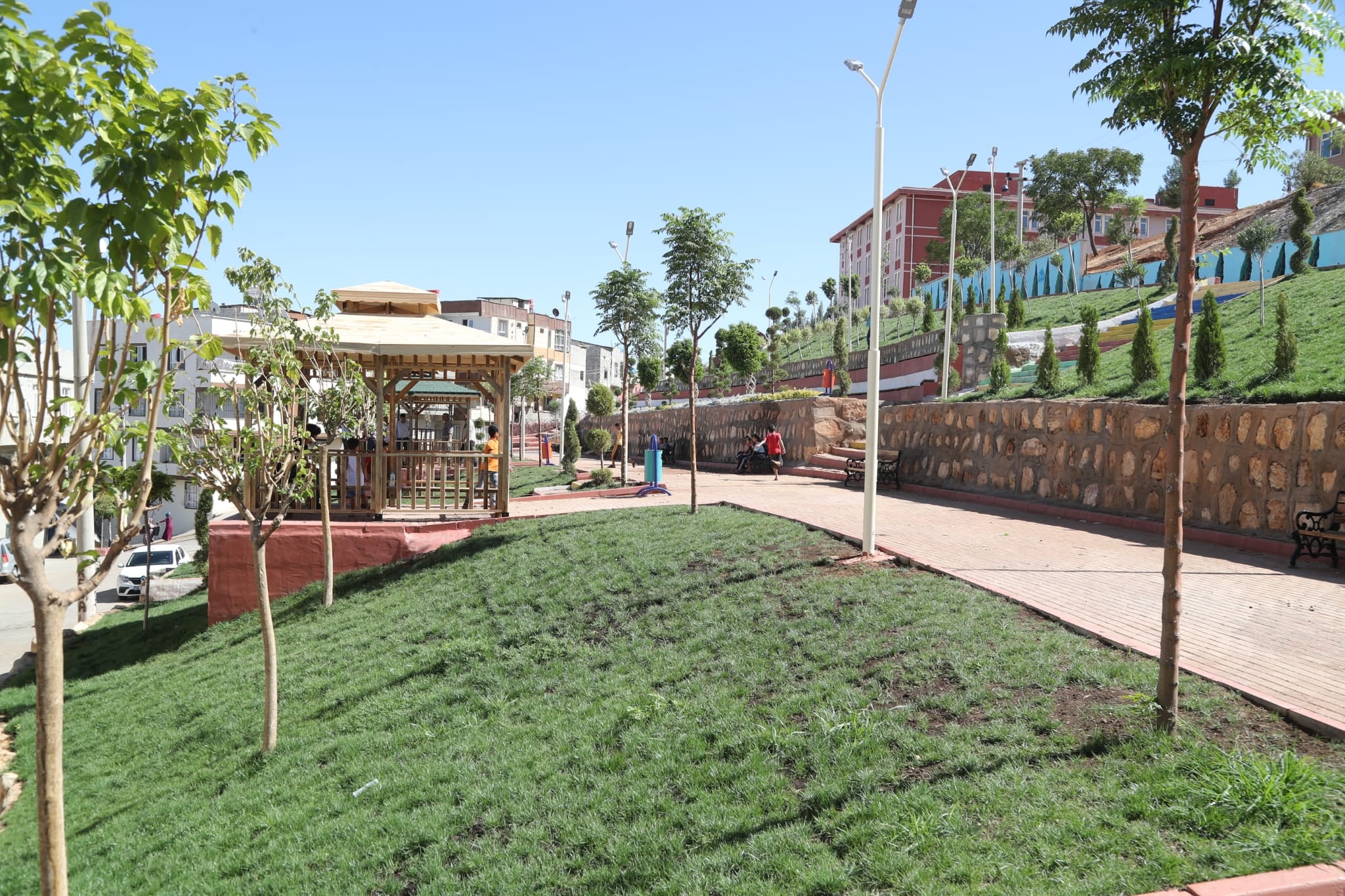 Bir ağaç ve çim görseli olabilir